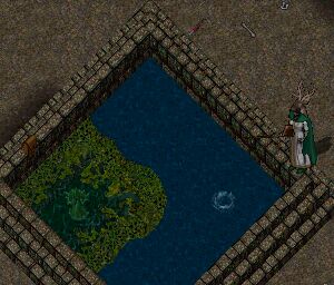 �f�V�[�g�ŏ��c�A�[�I�I���̂Q