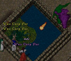 �f�V�[�g�ŏ��c�A�[�I�I���̂R