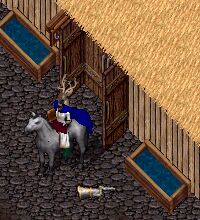 ����Ȃ��D�D�D����