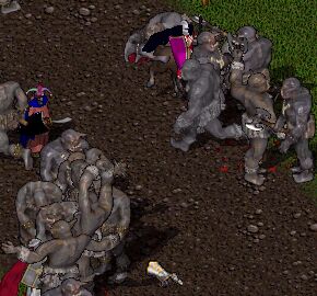 �g�������������I�I���̈�