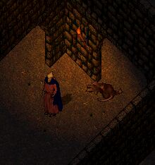 �q�X���X�Q�e