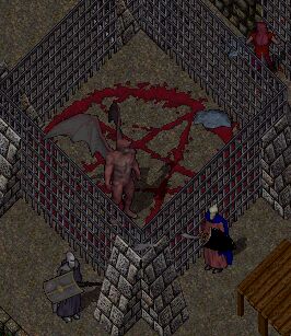 �q�X���X�S�e