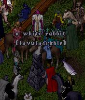 ���E�T�M��