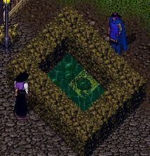 �u���̃J�E���Z���[�z�[�����̈�