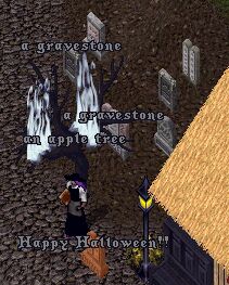 �u���̃J�E���Z���[�z�[��������