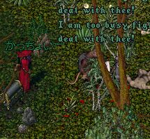 �키�m�o�b��