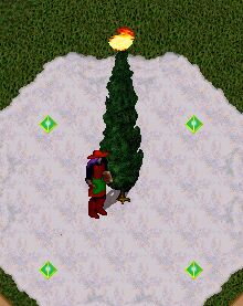 �N���X�}�X�c���[��